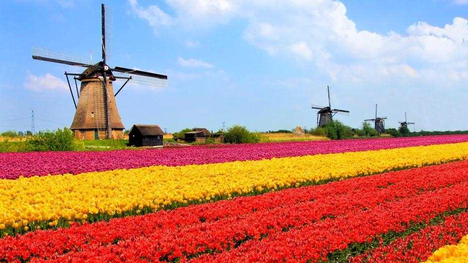 مهاجرت به هلند,اقامت هلند,تحصیل در هلند